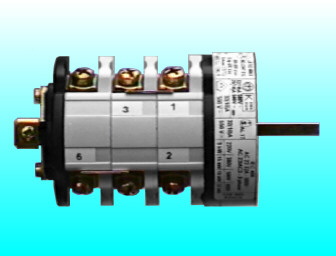 Bremas Rotary Camswitches